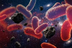 Bacteria Asteroids Space