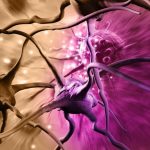 Virus Therapy Supercharges Immune Attack on Brain Cancer缩略图 Brain Cancer Cells Neurons