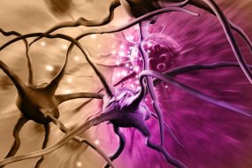 Brain Cancer Cells Neurons