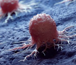 Cancer Cell 3D Rendering