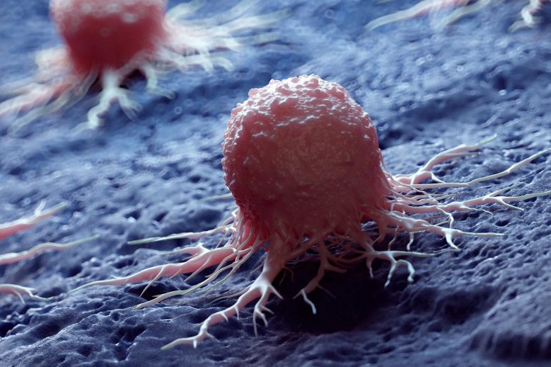 Cancer Cell 3D Rendering