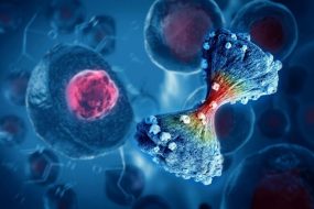 Cancer Cell Dividing Spreading