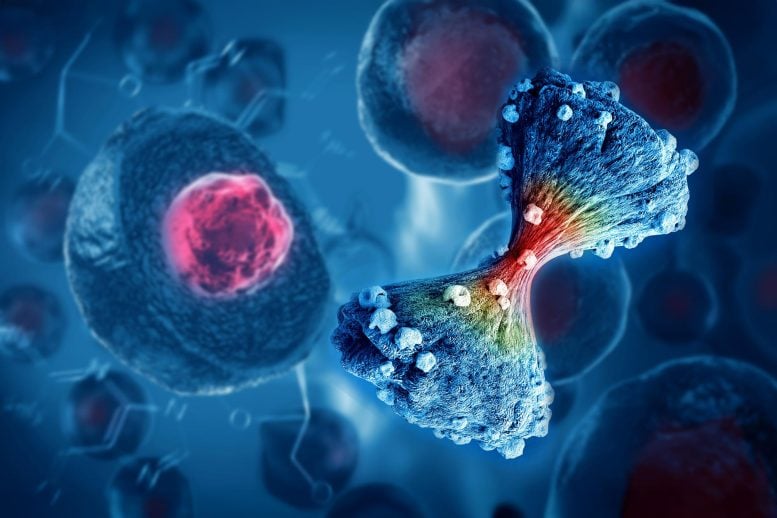 Cancer Cell Dividing Spreading