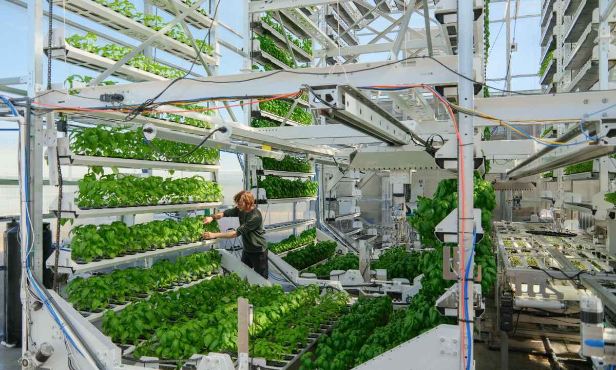 Canopii, agtech, farming, autonomous farming