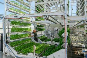 Canopii, agtech, farming, autonomous farming