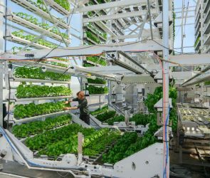 Canopii, agtech, farming, autonomous farming