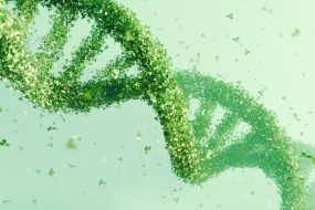 DNA Double Helix Structure Green Leaves Genetics