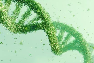 DNA Double Helix Structure Green Leaves Genetics