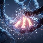 DNA Mutation Cancer Genetics Disease Bioengineering