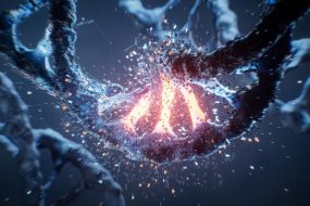 DNA Mutation Cancer Genetics Disease Bioengineering