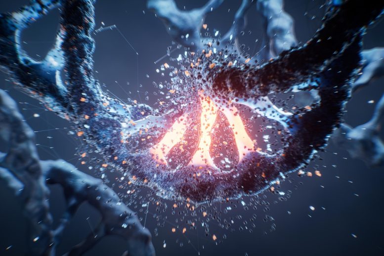 DNA Mutation Cancer Genetics Disease Bioengineering