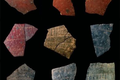 Fragments of Engraved Ostrich Eggshells