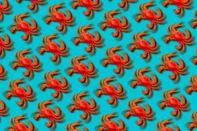 Red toy crab on blue background