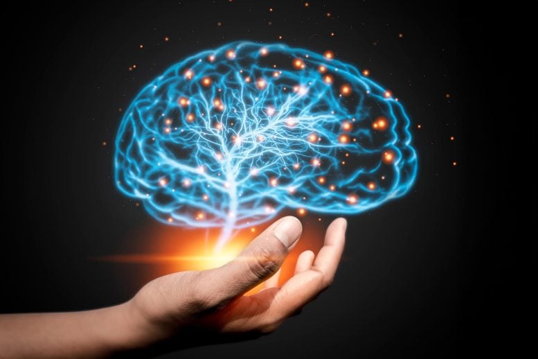 Hand Holding Glowing Brain