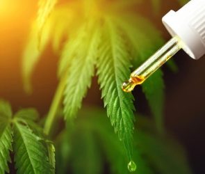 Hemp Oil Cannabis CBD Cannabidiol Dropper