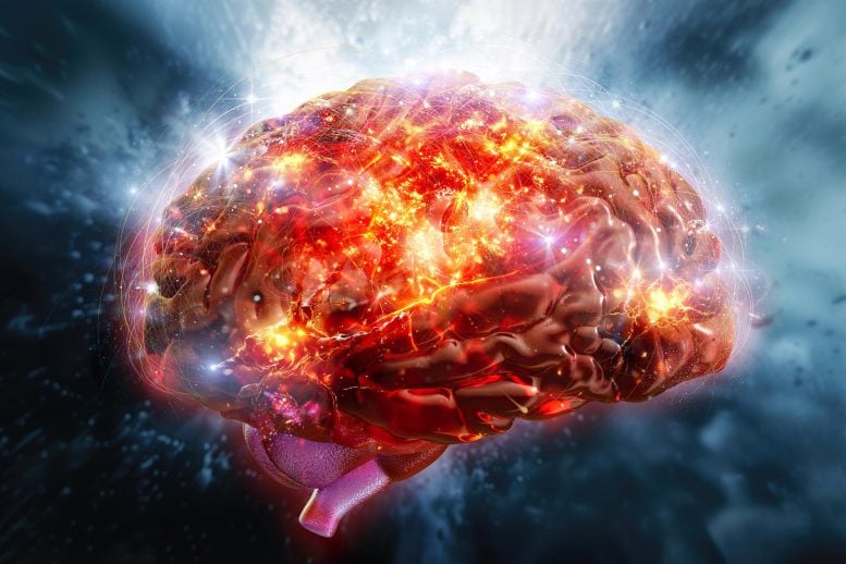 Human Brain Neuron Activity Signals