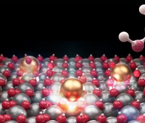 Isolated Indium Catalyst