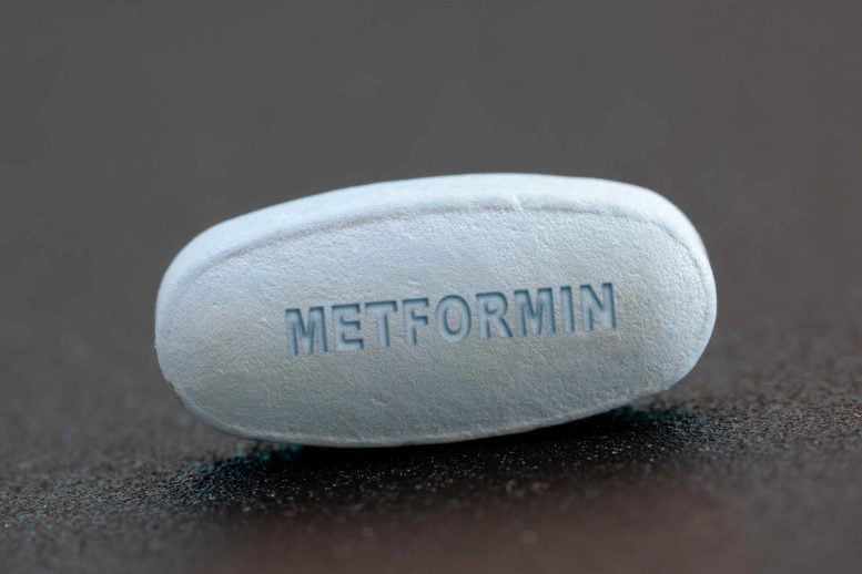 Metformin Diabetes Medicine Tablet