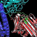 Protein Shapes That Track Alzheimer’s Progression