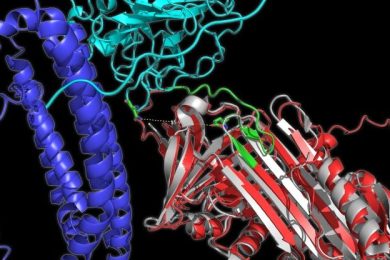 Protein Shapes That Track Alzheimer’s Progression