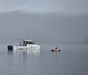 RV South Cape on Lake St Clair