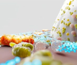 Schematic of P. gingivalis and Oral Microbiome