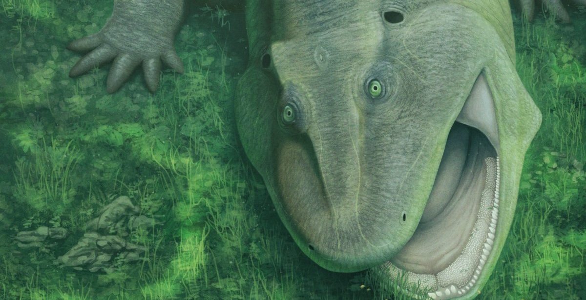 Bizarro salamander ancestor was an evolutionary oddball