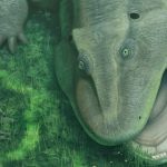 Bizarro salamander ancestor was an evolutionary oddball