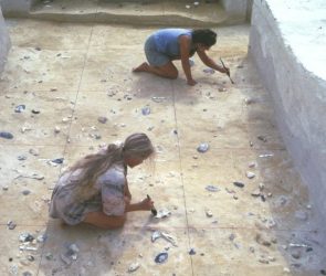 Two Archaeologists Excavating the Boxgrove Archaeological Site