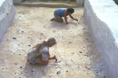Two Archaeologists Excavating the Boxgrove Archaeological Site
