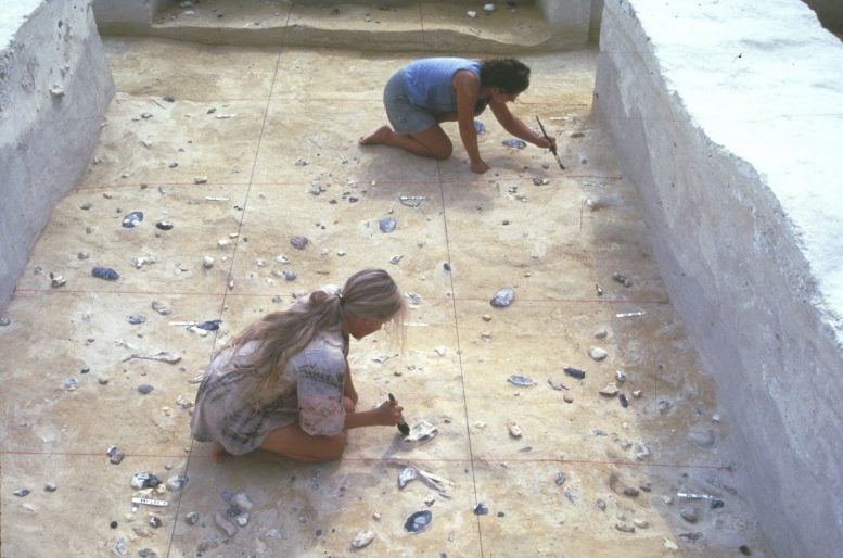 Two Archaeologists Excavating the Boxgrove Archaeological Site