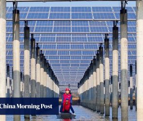 China poised to earn vast profits from global energy transition: analysts