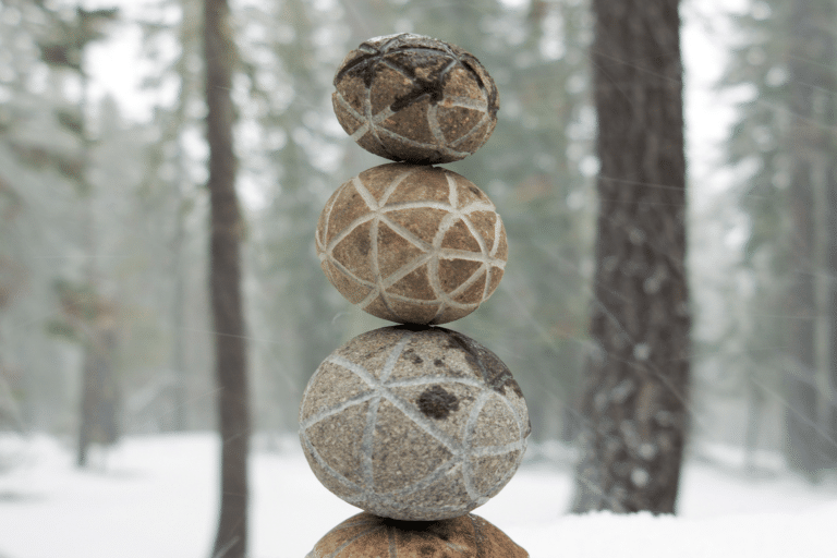 Participatory Art at Sagehen Creek Field Station