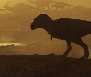 ‘Unusually large’ tyrannosaur leg bone points to 10,000-pound behemoth