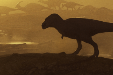 ‘Unusually large’ tyrannosaur leg bone points to 10,000-pound behemoth