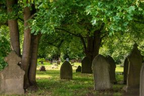 The most eco-friendly burial option isn't cremation or human composting