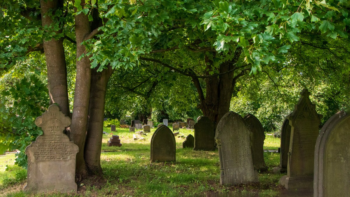 The most eco-friendly burial option isn't cremation or human composting